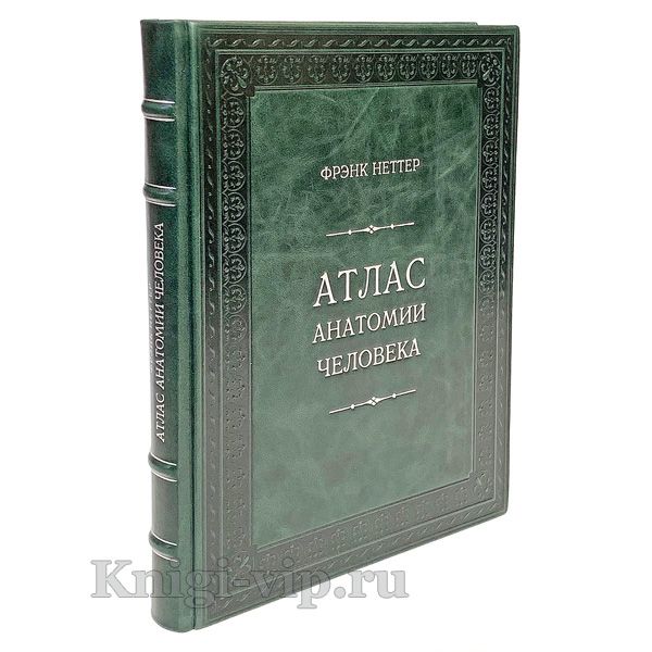 Атлас анатомии человека. Фрэнк Неттер. Подарочная книга в кожаном переплете ручной работы