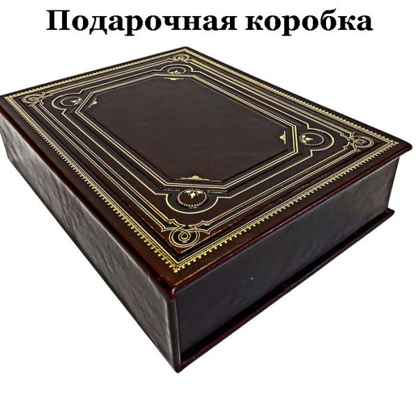 Николай Бодрихин - Челомей. Книга в кожаном переплете
