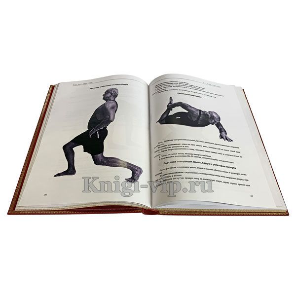 Джефри Лайф - План жизни. Книга в кожаном переплете